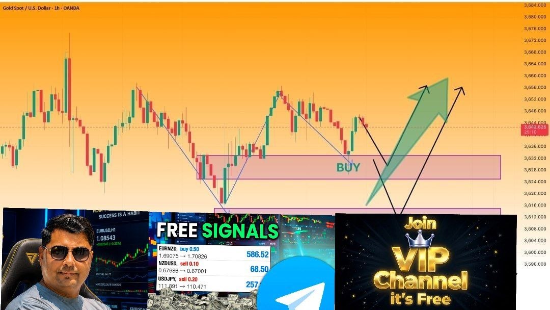 Gold Plus