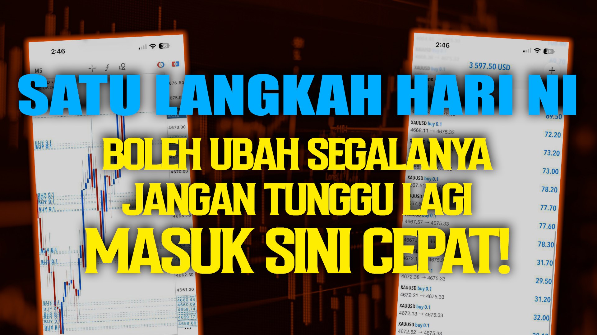 SIGNAL LAYER GILA!!!!