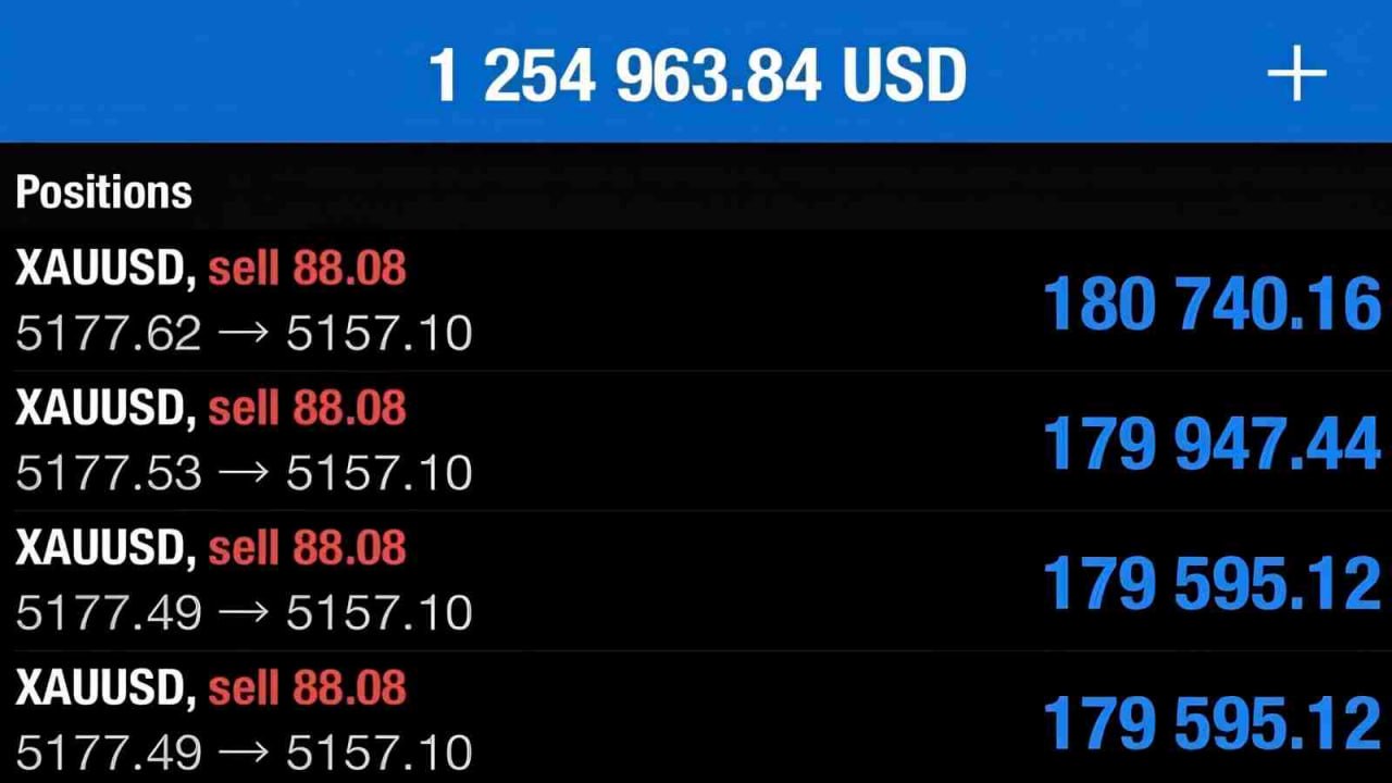 🟢Elite Trade Signals