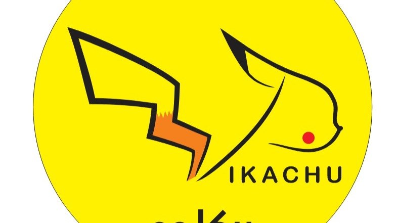 تولیدی پوشاک پیکاچو(pikachu)