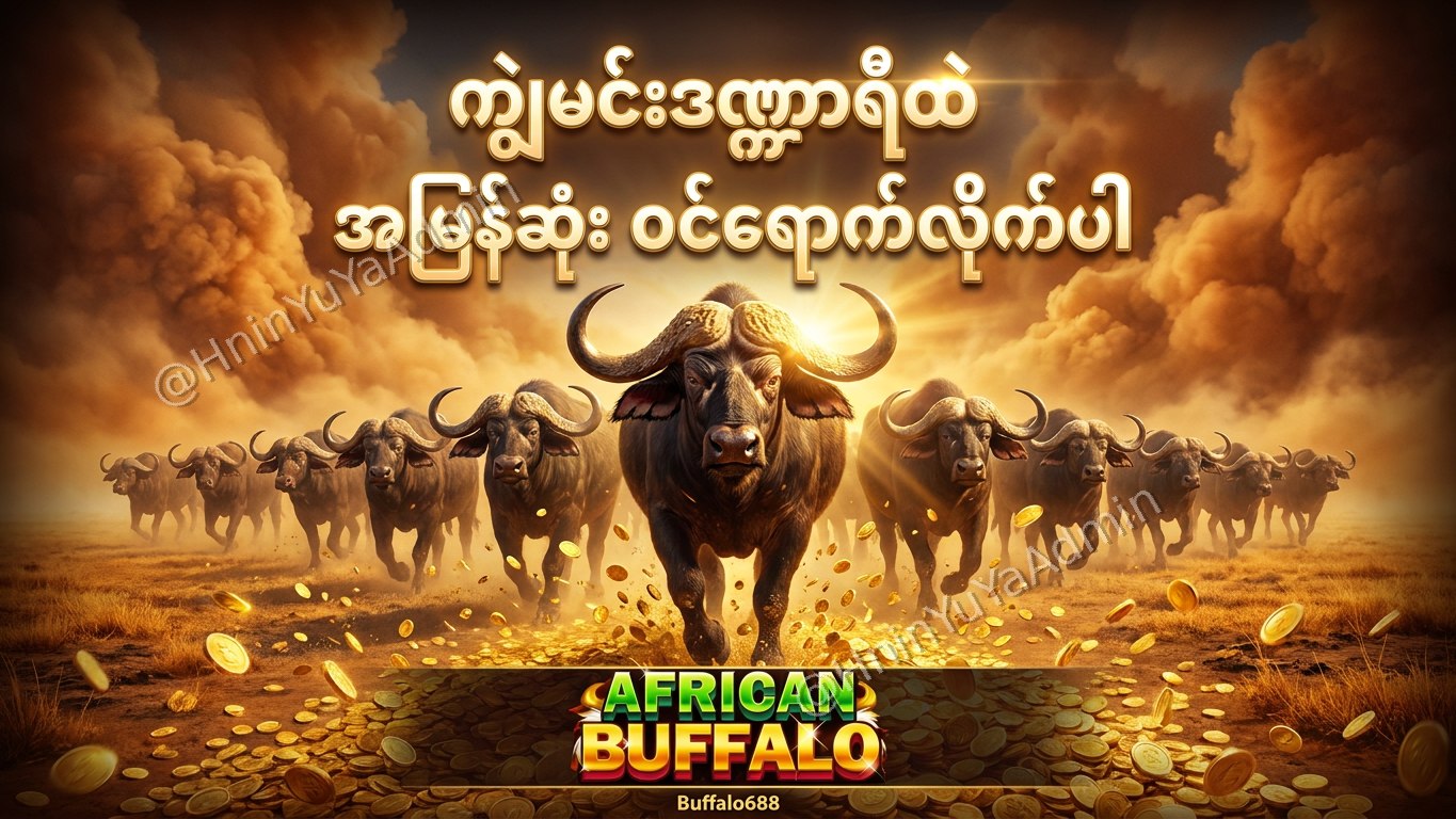 ကျွဲဂိမ်းအစစ် Buffalo688 ၊ကျွဲဘုရင် ၊​ရှမ်းကိုးမီး၊ဘူကြီး