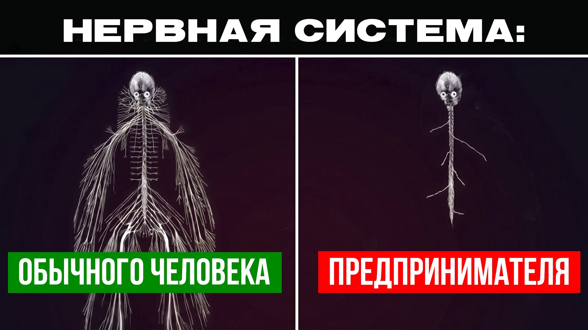 Кривицкий Андрей