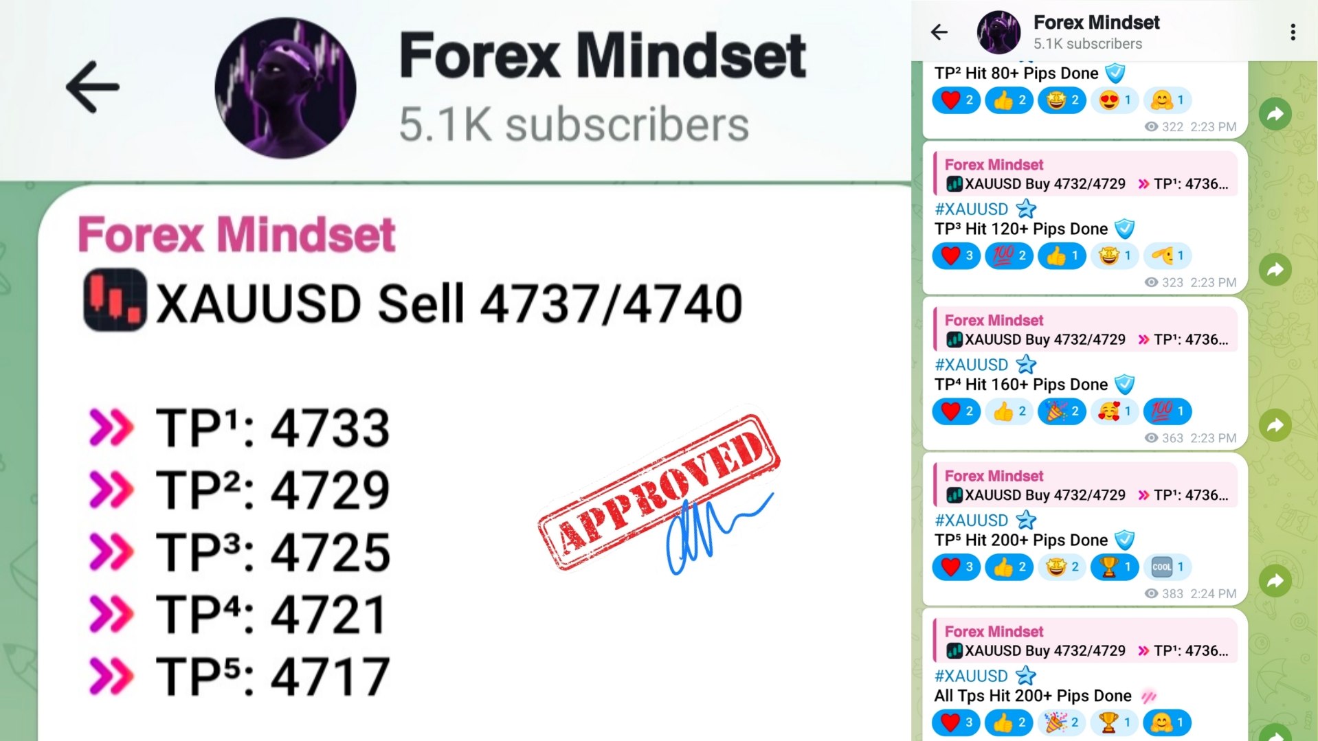 𝗙𝗼𝗿𝗲𝘅 𝗠𝗶𝗻𝗱𝘀𝗲𝘁