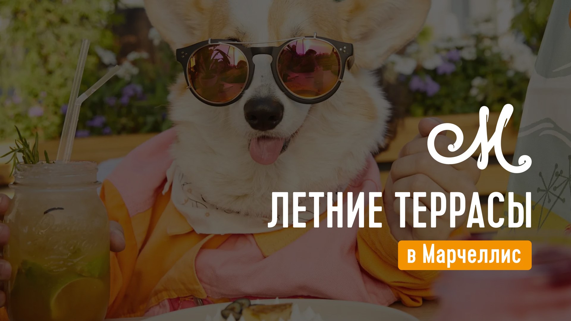 Марчеллис