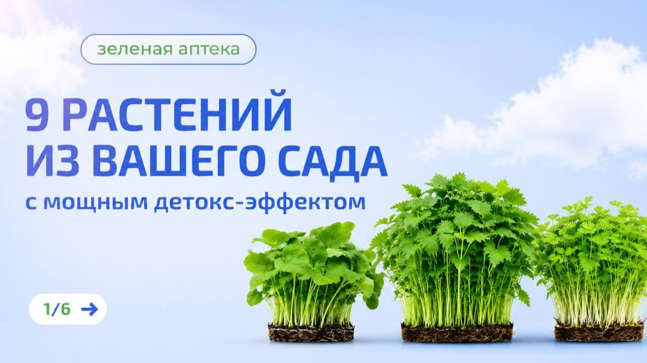 ПВВК | Полезная вода | Здоровье | Биохакинг