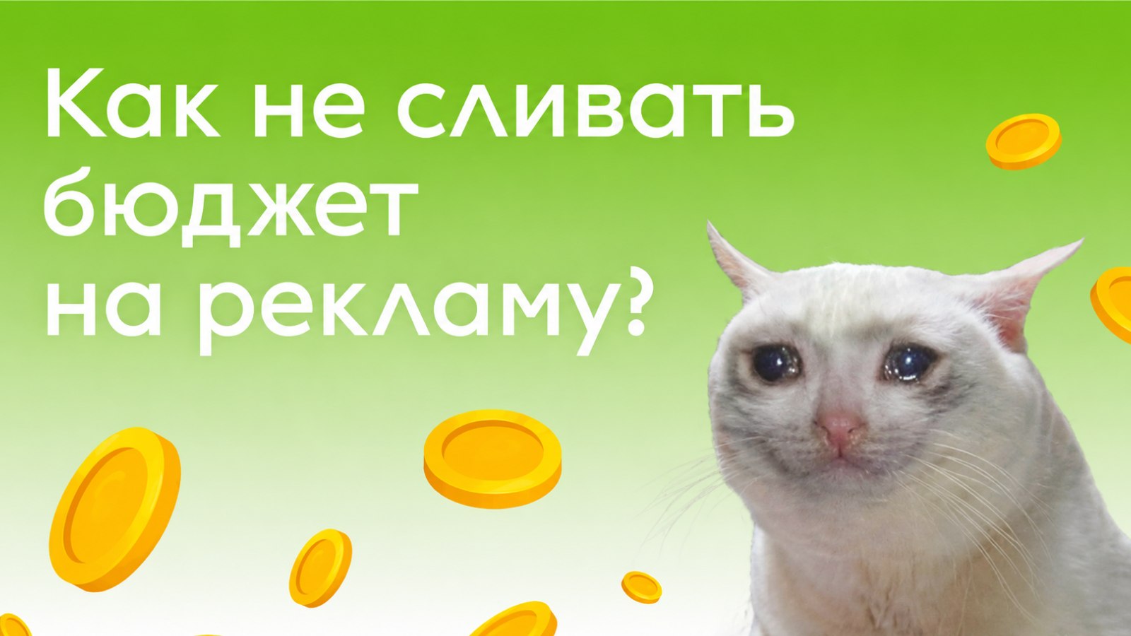 Clickise — говорим на языке Telegram Ads