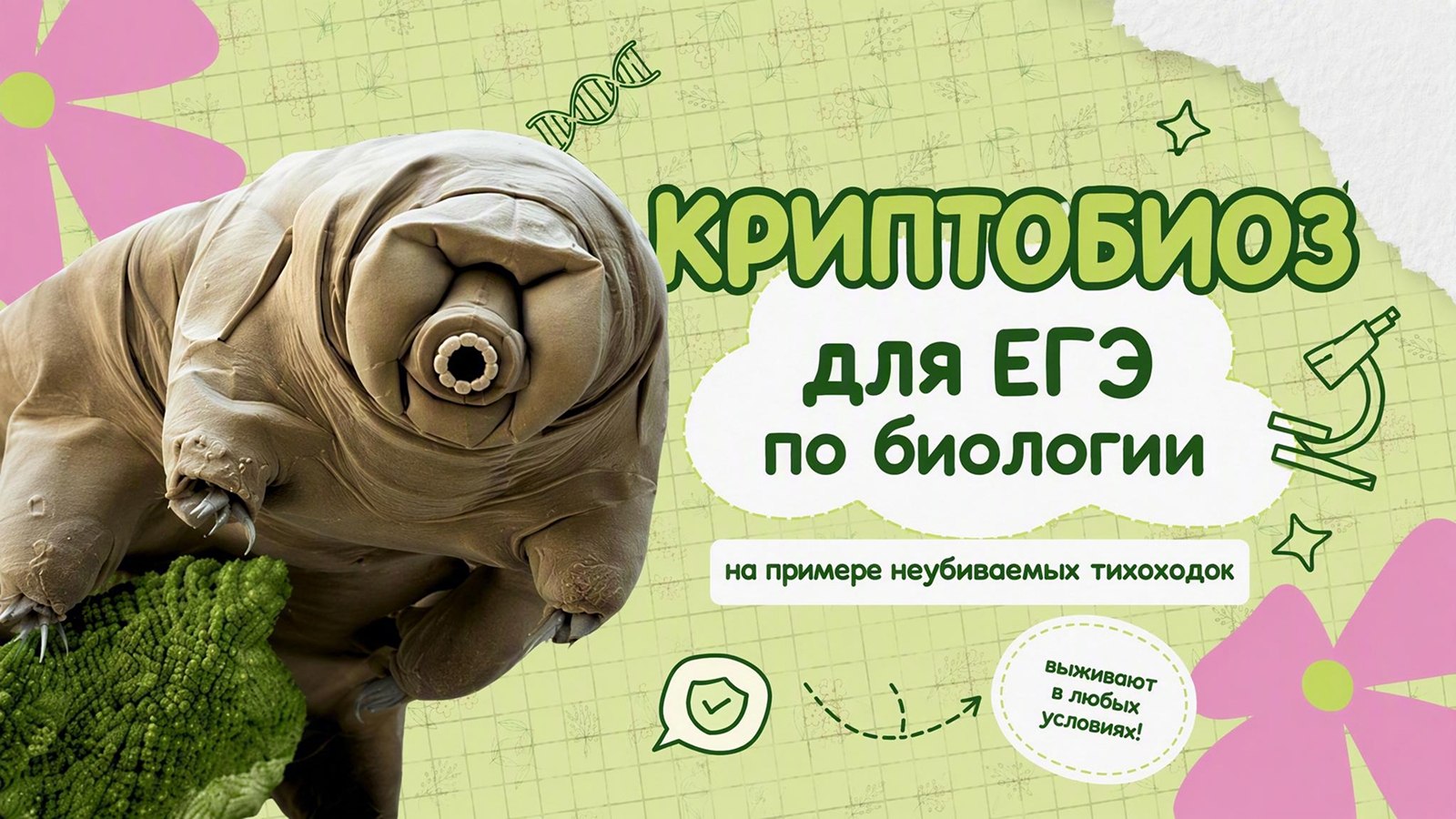 биология и котики / ЕГЭ ОГЭ Стадикэтс