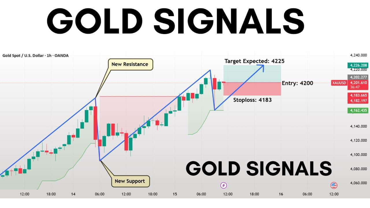 FOREX GOLD SIGNAL 👑