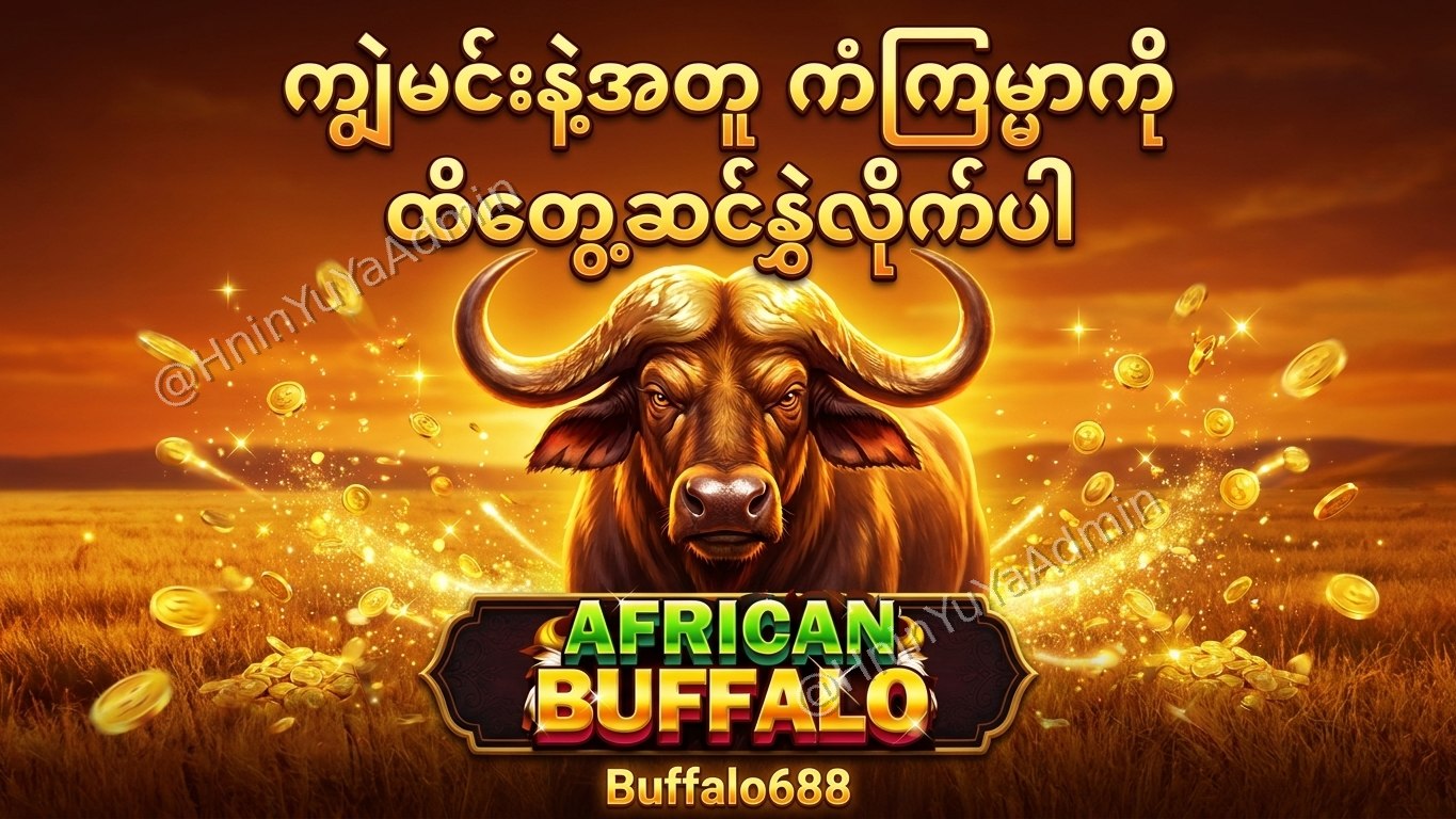 ကျွဲဂိမ်းအစစ် Buffalo688 ၊ကျွဲဘုရင် ၊ရှမ်းကိုးမီး၊ဘူကြီး