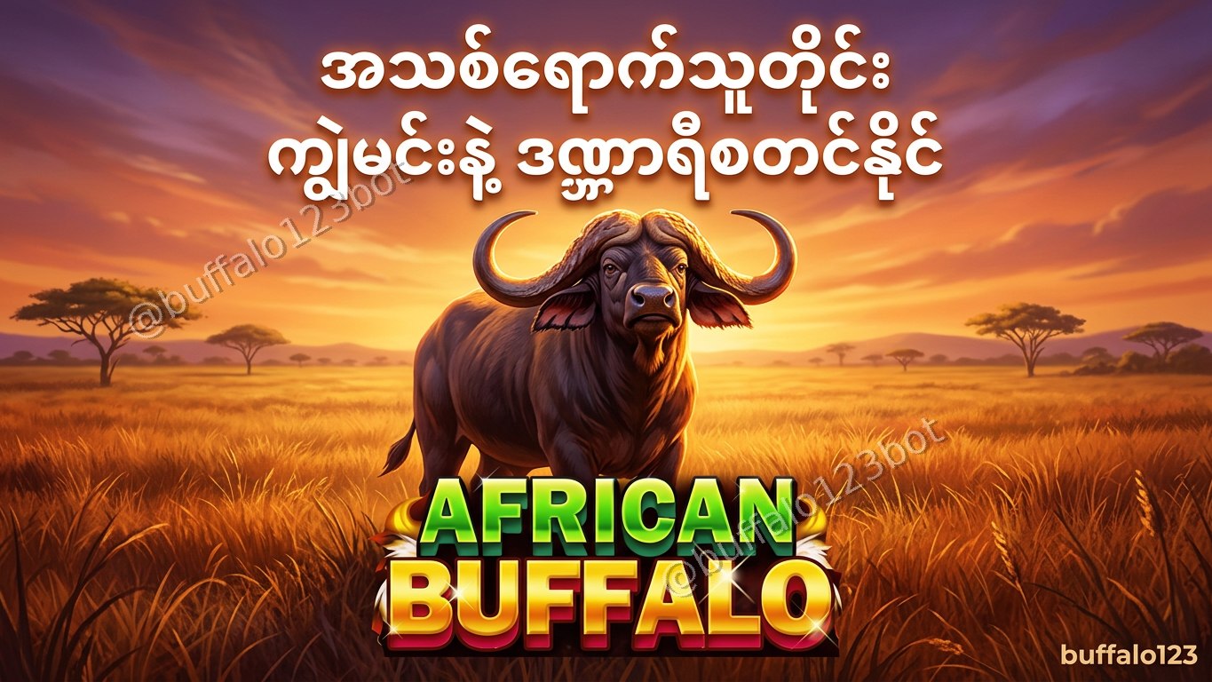 ကျွဲဂိမ်း Buffalo123 Official