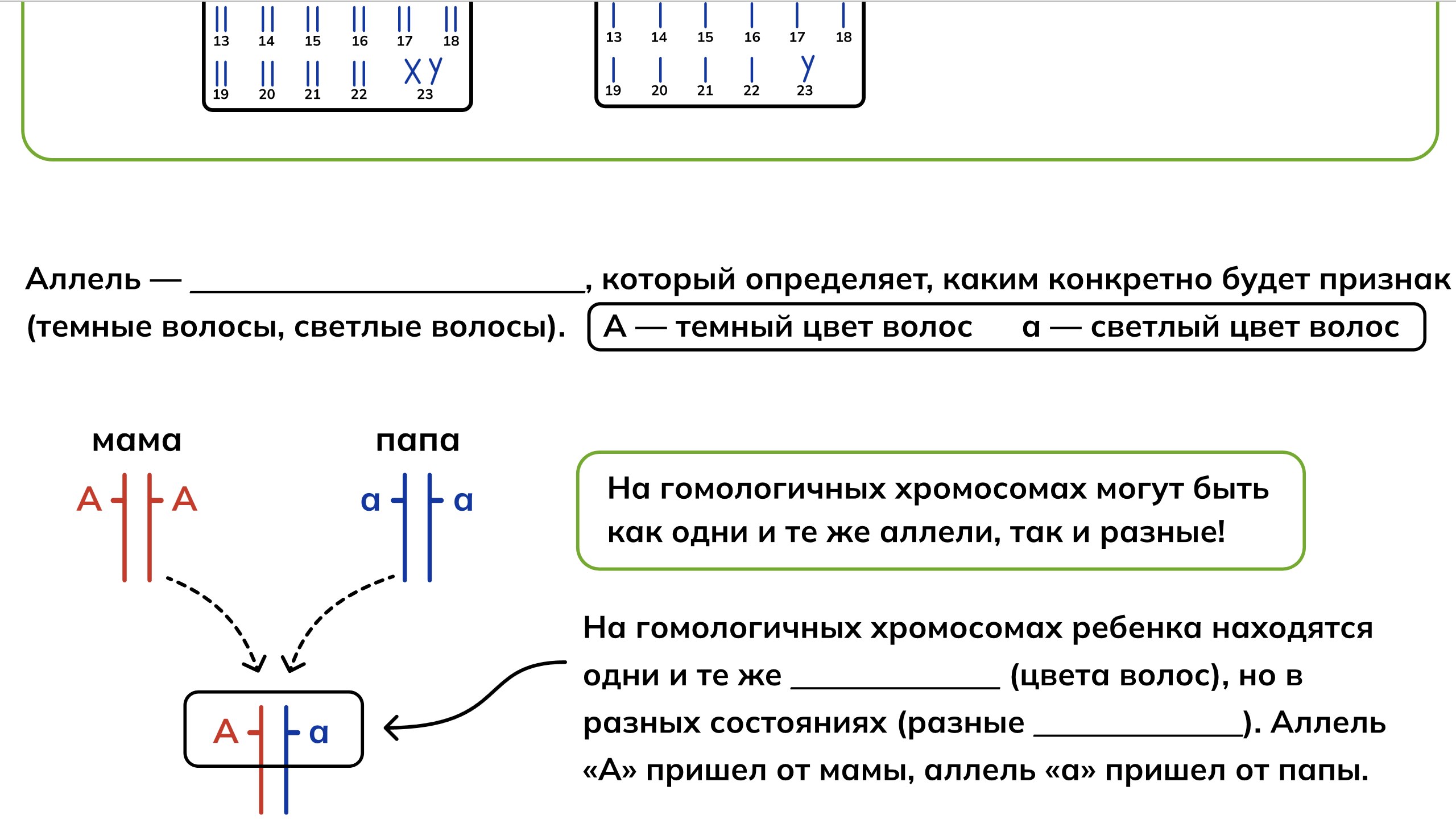 NeoFamily | Биология ЕГЭ-2027 | Андрей и Нурлан