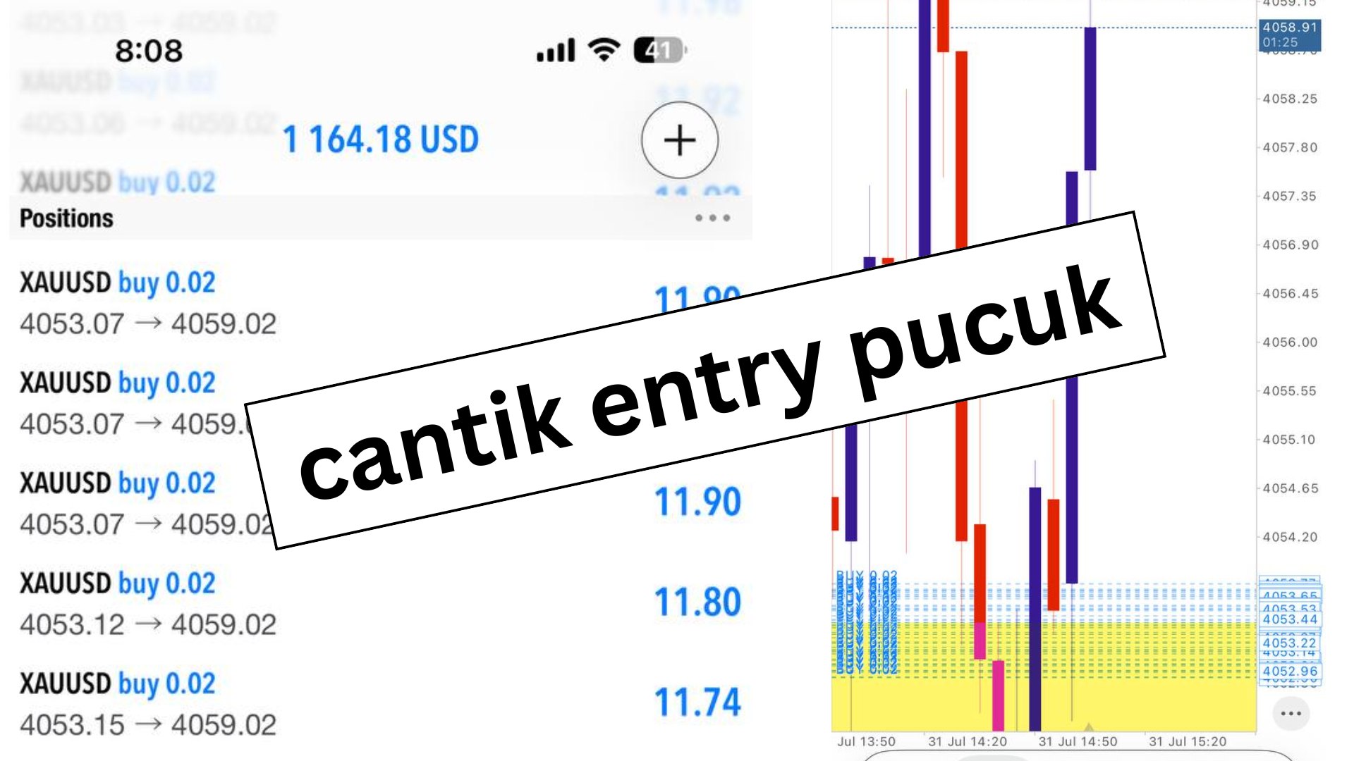 Along Gold Scalper