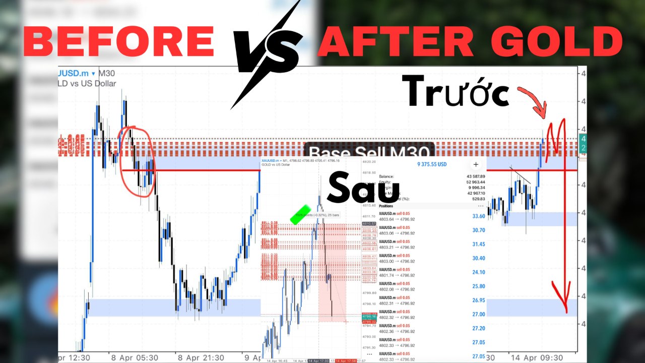 Super Scalper Gold