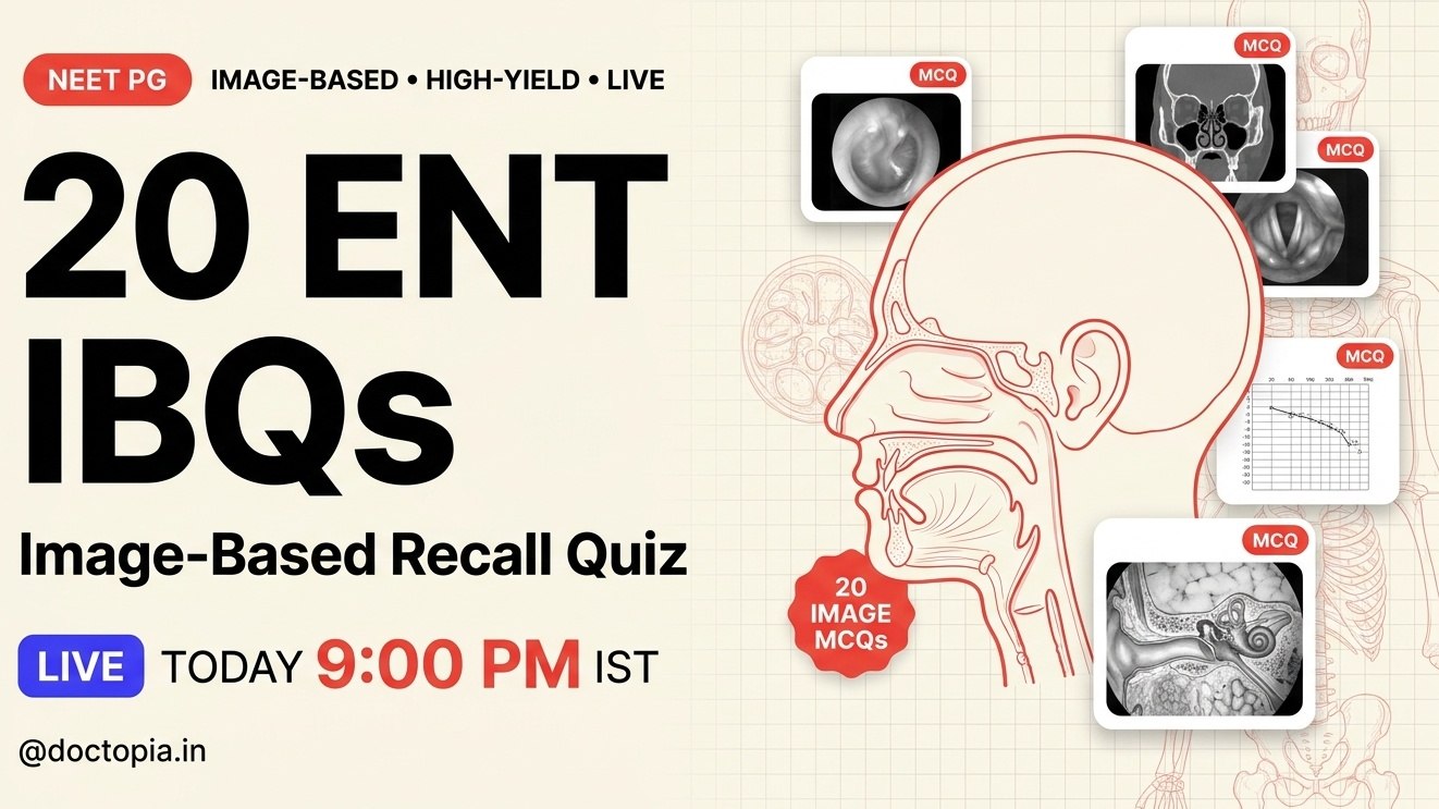 Doctopia Daily Live Quizzes