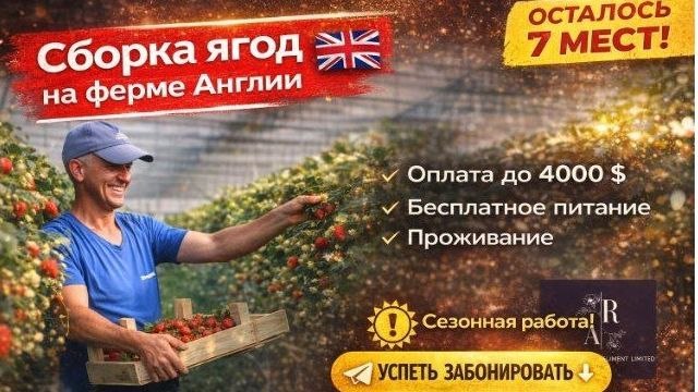 @augusttimofey