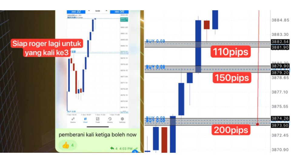 Along Gold Scalper